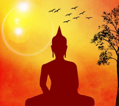 yoga, buddha purnima, buddha, relaxation, sun, nature, birds tree