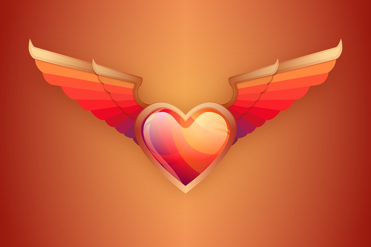 love, heart, wings, valentine day, orange love, orange heart