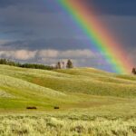 rainbow, hills, meadows, fields, grass, grasslands, grassy, horizon, landscape, rural, countryside, nature, clouds, colorful, outdoors, sky, rainbow colors, rainbow, rainbow, rainbow, rainbow, rainbow