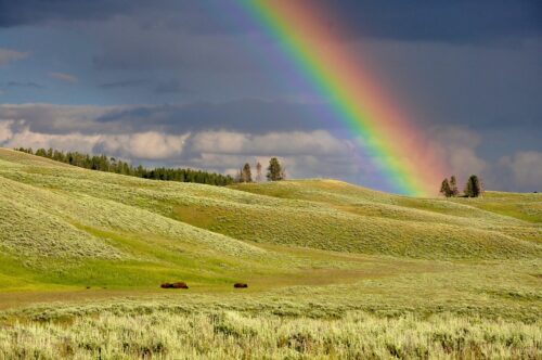 rainbow, hills, meadows, fields, grass, grasslands, grassy, horizon, landscape, rural, countryside, nature, clouds, colorful, outdoors, sky, rainbow colors, rainbow, rainbow, rainbow, rainbow, rainbow