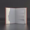 book, reading, novel, learning, wisdom