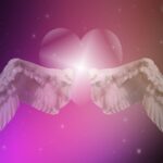 heart, wing, stars, love, flying heart, feelings, angel, in love, be in love, pink, love, angel, angel, angel, angel, angel
