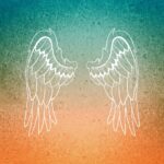 wing, angel, feathers, angel, angel, angel, angel, angel