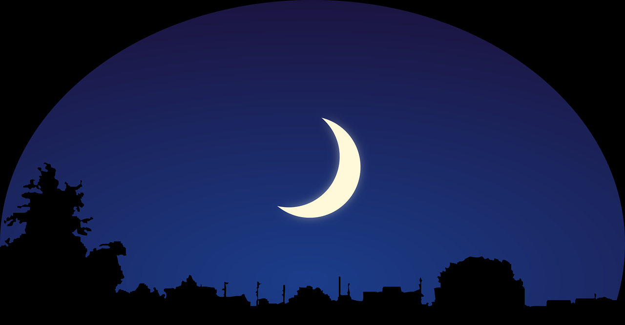 heaven, moon, silhouette, night, nature, crescent moon, bushes, trees, good night, sleep, dreams, dream