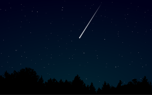 shooting star, sky, nature, night, dark, stars, meteor, night sky, starry, woods, darkness