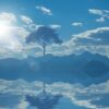 landscape, nature, contemplate, reflection, scenic, summer, tree, the silence, horizon, bright light, take it easy, water, nature, reflection, reflection, reflection, reflection, reflection, tree