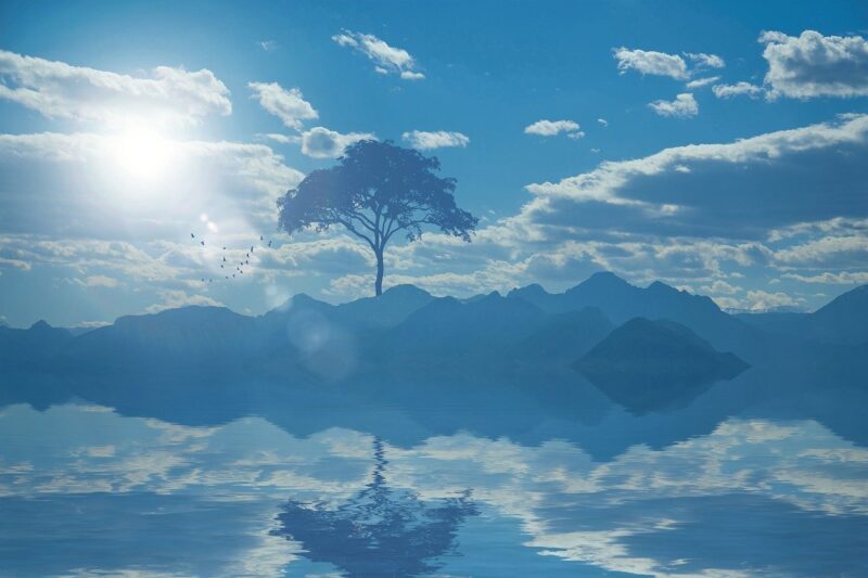 landscape, nature, contemplate, reflection, scenic, summer, tree, the silence, horizon, bright light, take it easy, water, nature, reflection, reflection, reflection, reflection, reflection, tree