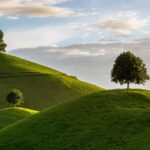 hill, tree, drumlin, nature, landscape
