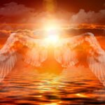 angel, wing, feathers, heavenly, god, mystical, in the sky, in heaven, sun, heaven, nature, mood, orange