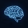 brain, mind, cyber, cybersecurity, security, thinking, thought, idea, human, think, mindset, computer, tech, technology, brain, brain, cybersecurity, mindset, mindset, mindset, mindset, mindset, tech, tech, tech