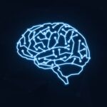 brain, mind, cyber, cybersecurity, security, thinking, thought, idea, human, think, mindset, computer, tech, technology, brain, brain, cybersecurity, mindset, mindset, mindset, mindset, mindset, tech, tech, tech