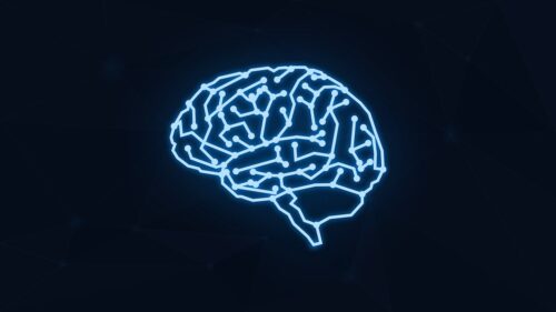 brain, mind, cyber, cybersecurity, security, thinking, thought, idea, human, think, mindset, computer, tech, technology, brain, brain, cybersecurity, mindset, mindset, mindset, mindset, mindset, tech, tech, tech