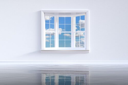 window, opportunity, future, decision, portal, window, window, window, window, window, opportunity