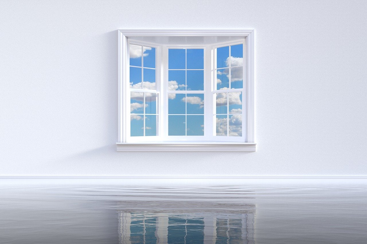 window, opportunity, future, decision, portal, window, window, window, window, window, opportunity