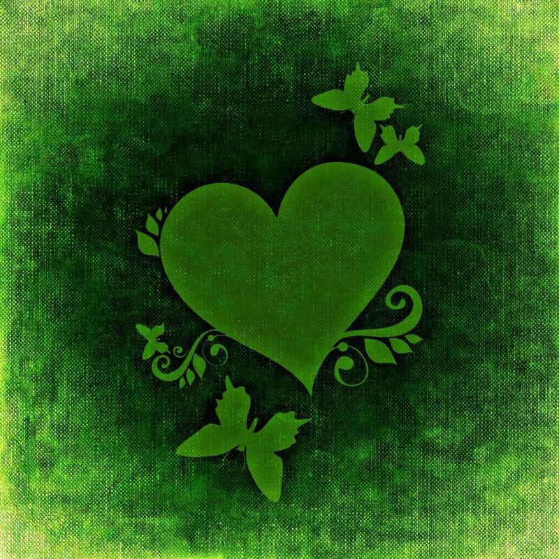 heart, valentine's day, greeting card, butterflies, romance, love