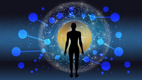 ai generated, network, artificial intelligence, programming, web, brain, computer science, technology, information, data, digital, communication, system, connection, neurons, interfaces, contact, weave