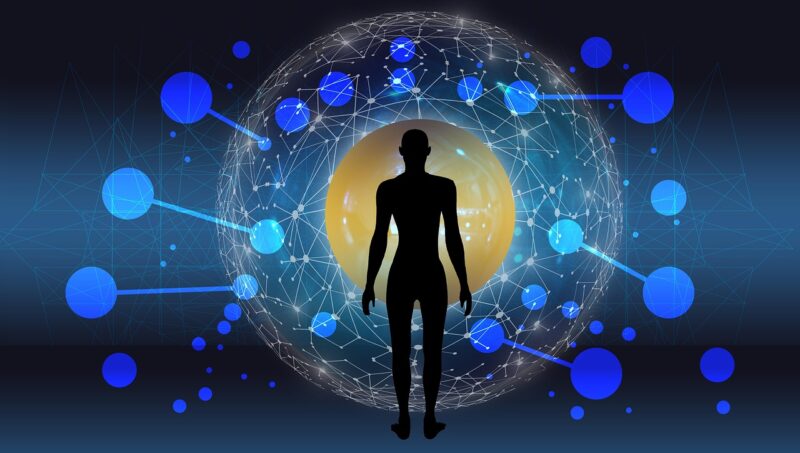 ai generated, network, artificial intelligence, programming, web, brain, computer science, technology, information, data, digital, communication, system, connection, neurons, interfaces, contact, weave