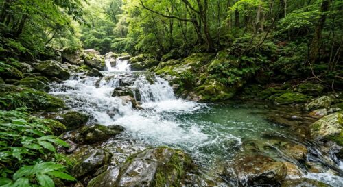 Die reinigende Kraft des Wassers